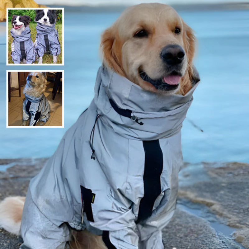 manteau-pluie-moyen-grand-chien-gris