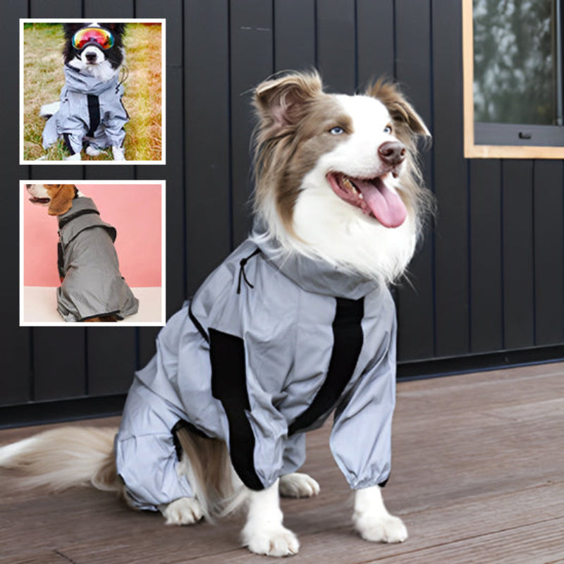 manteau-pluie-pour-chien