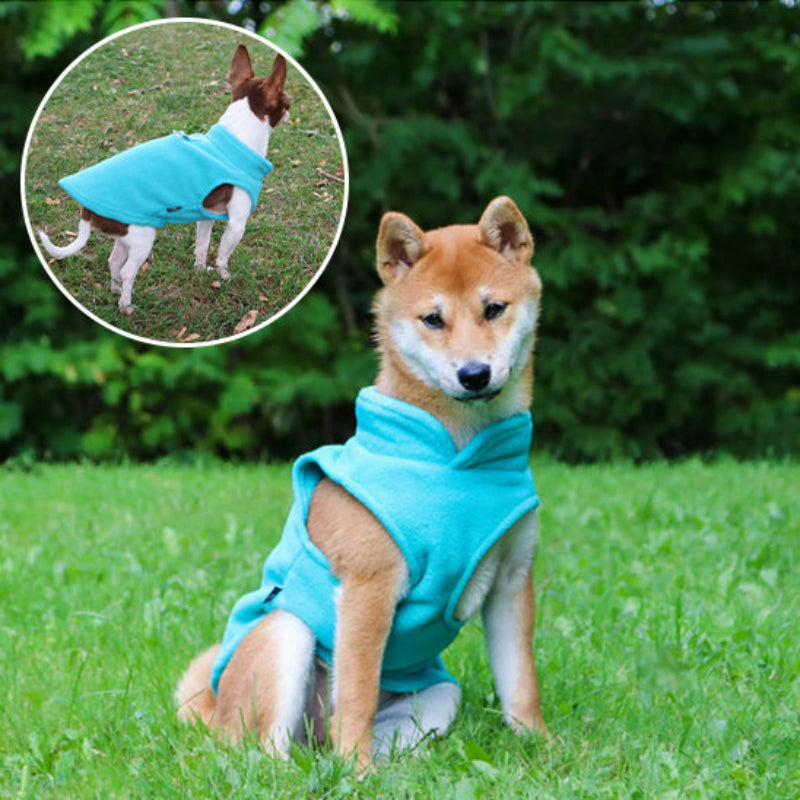 manteau-pour-chien-bleu-clair