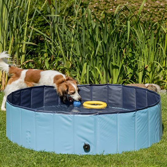 Piscine pour chien | SplashDogâą