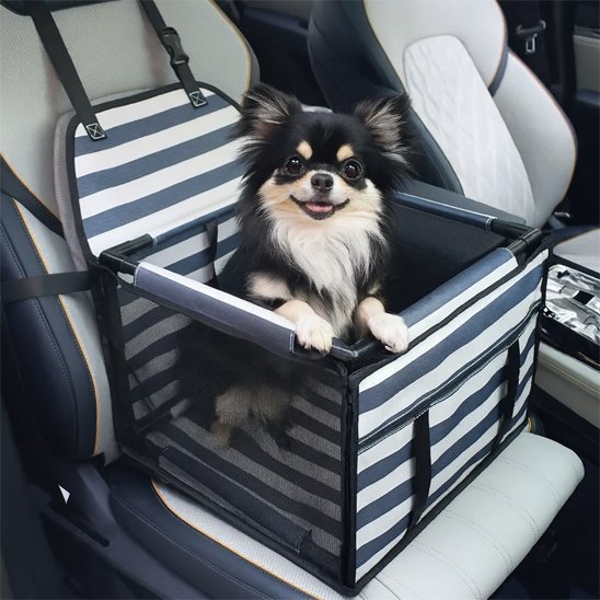Siege auto pour chien | SafeTravel™