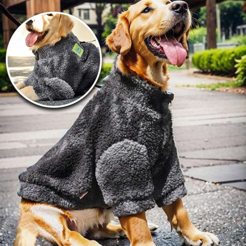 pull-chien-doux