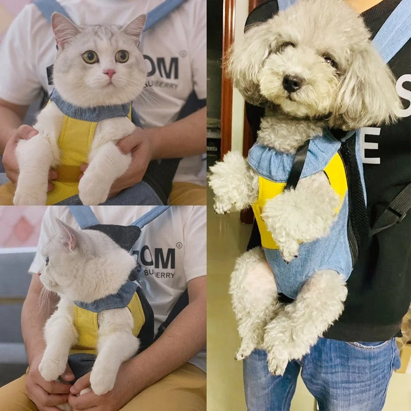 chat et chien dans un sac de transport