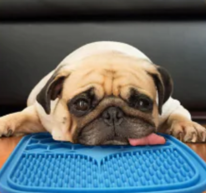 tapis-de-lechage-chien-bleu