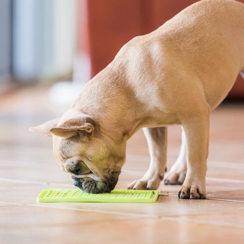 tapis-de-lechage-pour-chien-vert