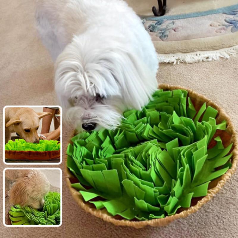 tapis_de_fouille_chien