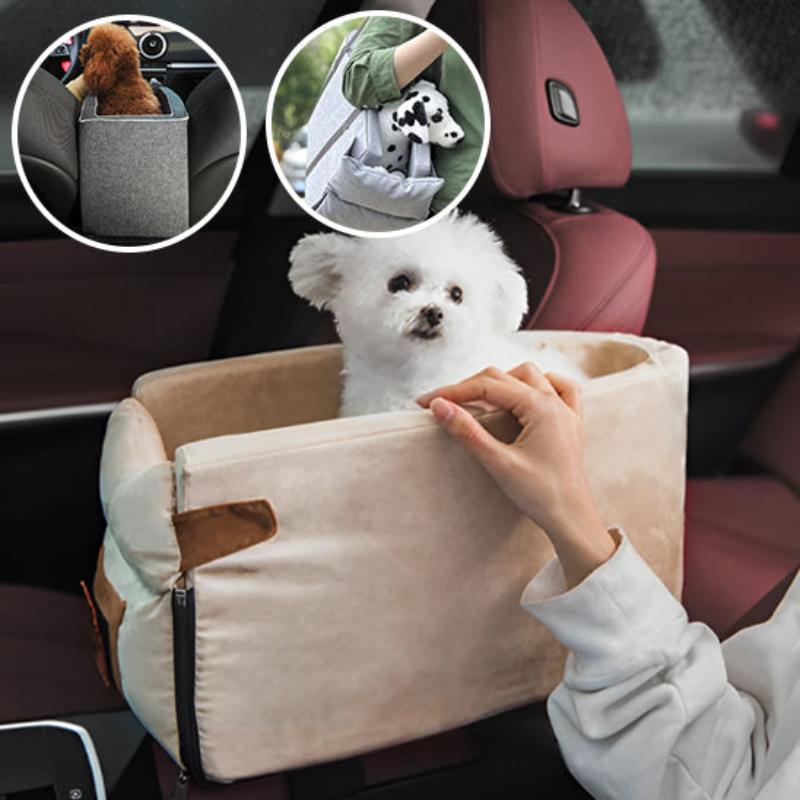 transport-chien-en-voiture-beige