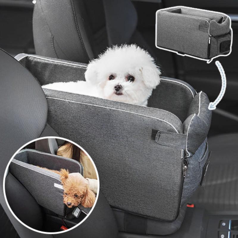 transport-chien-en-voiture-gris