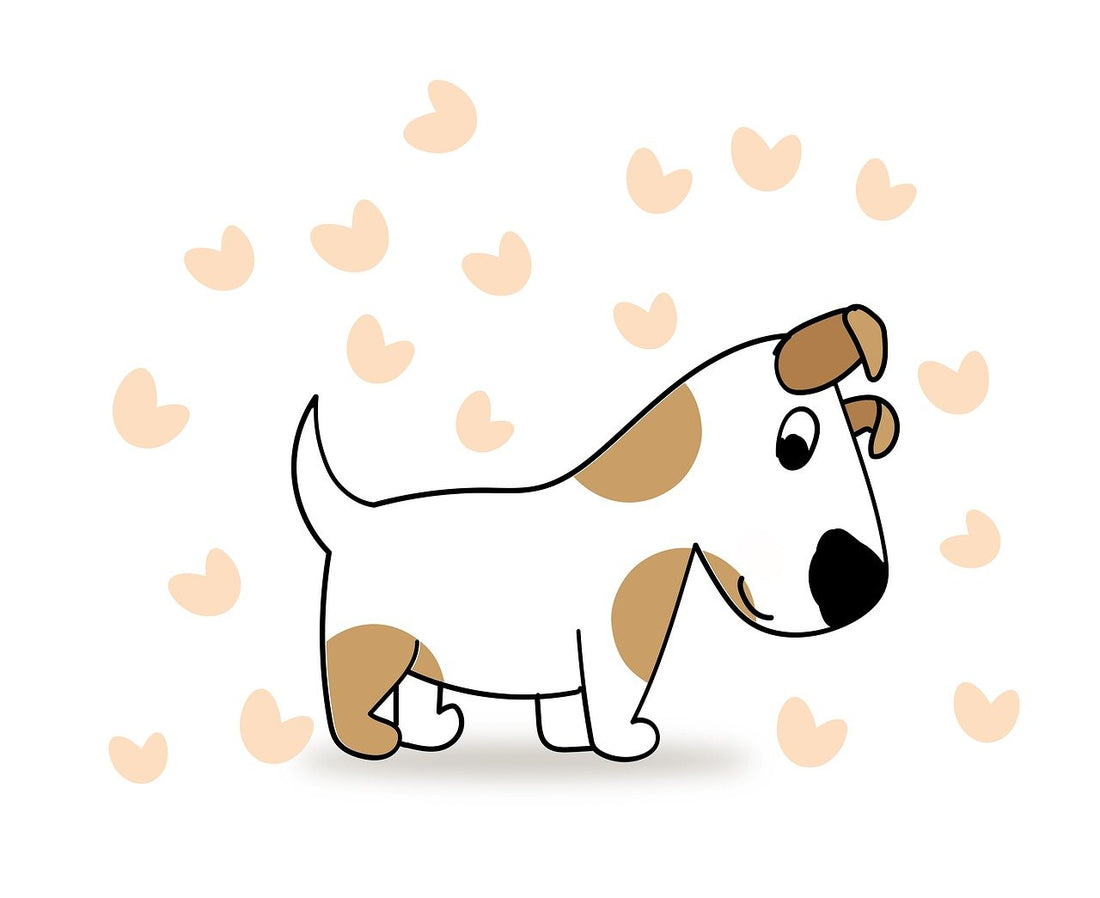 Noms de chien en A pour 2025 : 50 idées adorables et originales