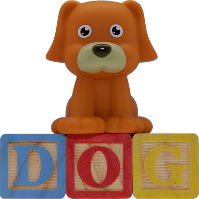 Jouets éducatifs pour chien | Jeux intelligents & accessoires d’éducation