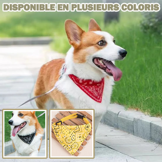 Bandana pour chien | PawDana™