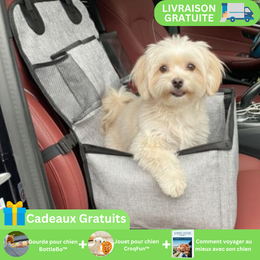 Siege auto chien | Securiconfort™