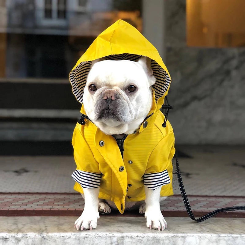 Manteau imperméable chien | RainPup™