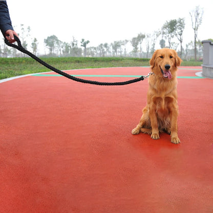 Laisse pour chien | RockCorde™