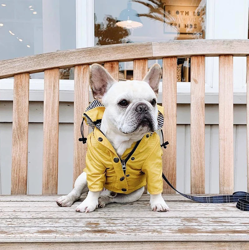 Manteau imperméable chien | RainPup™