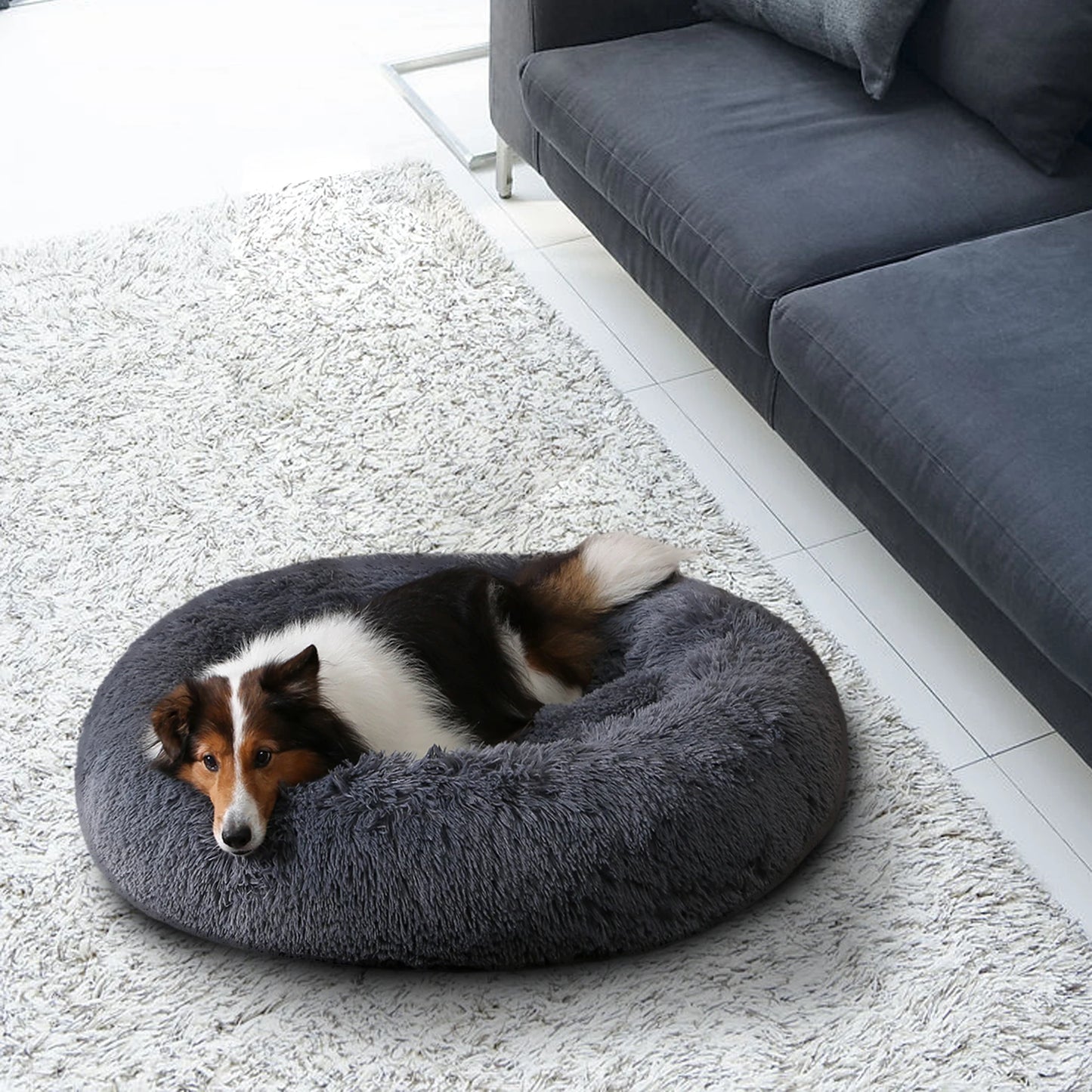 Coussin rond pour chien | BaRond™