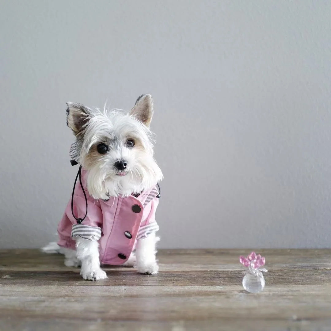 Manteau imperméable chien | RainPup™