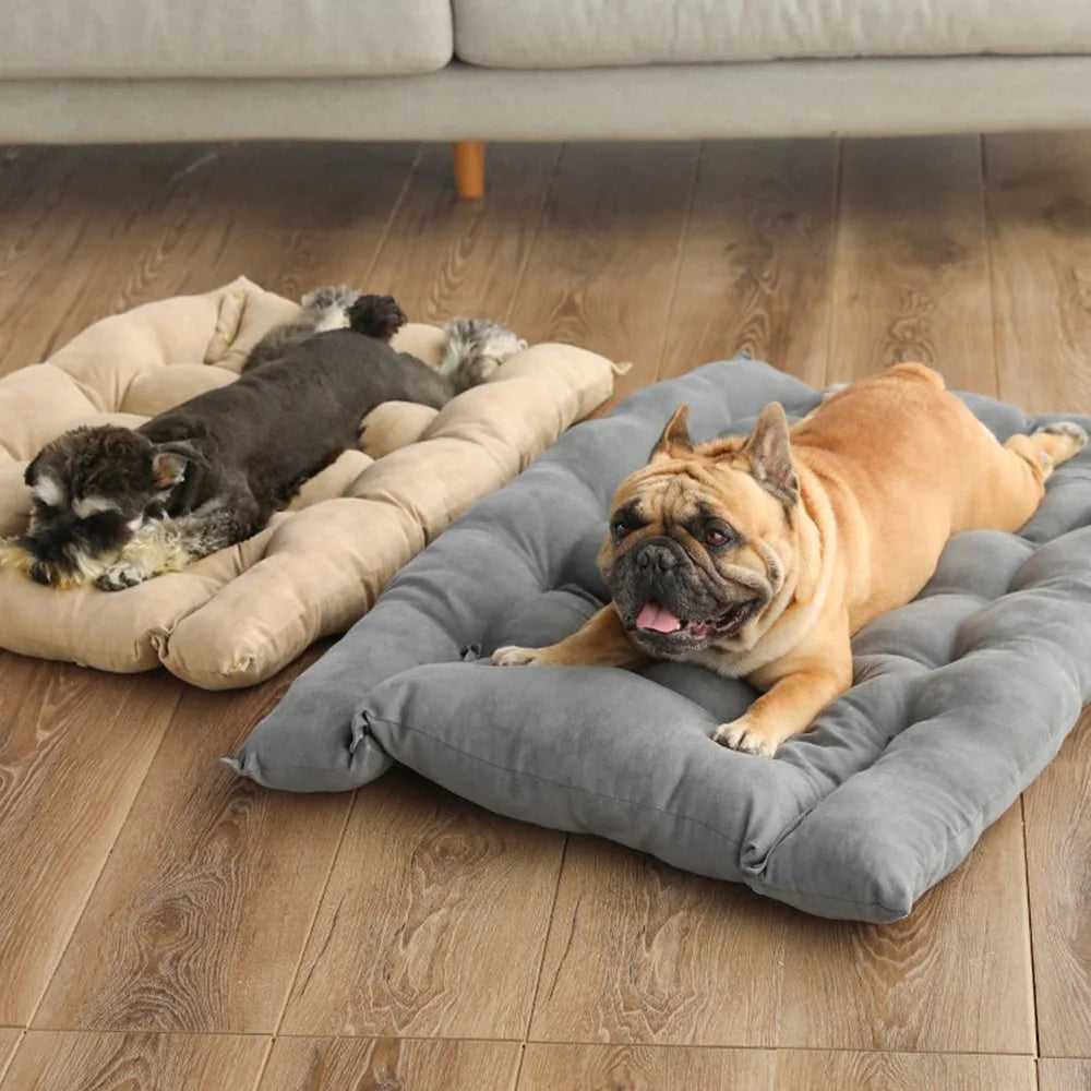 Coussin pour chien | DodZen™