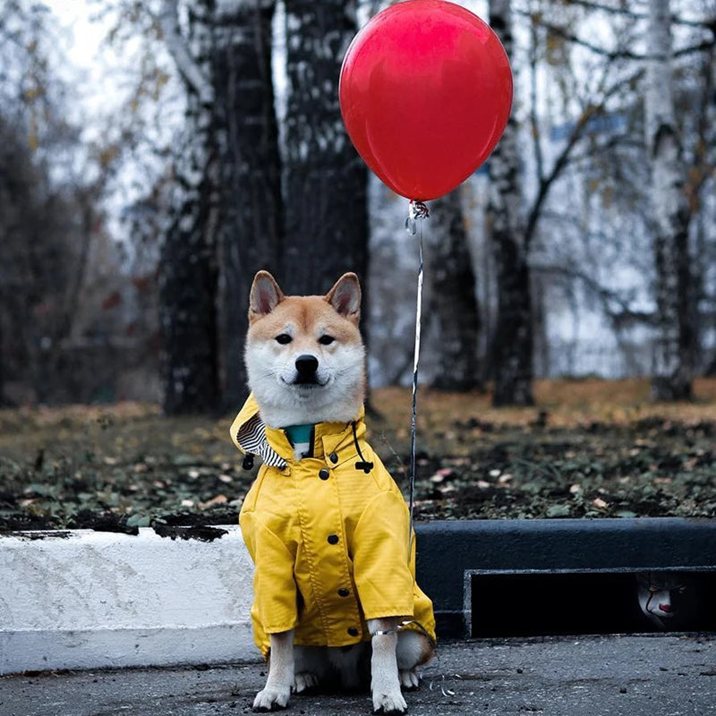 Manteau imperméable chien | RainPup™