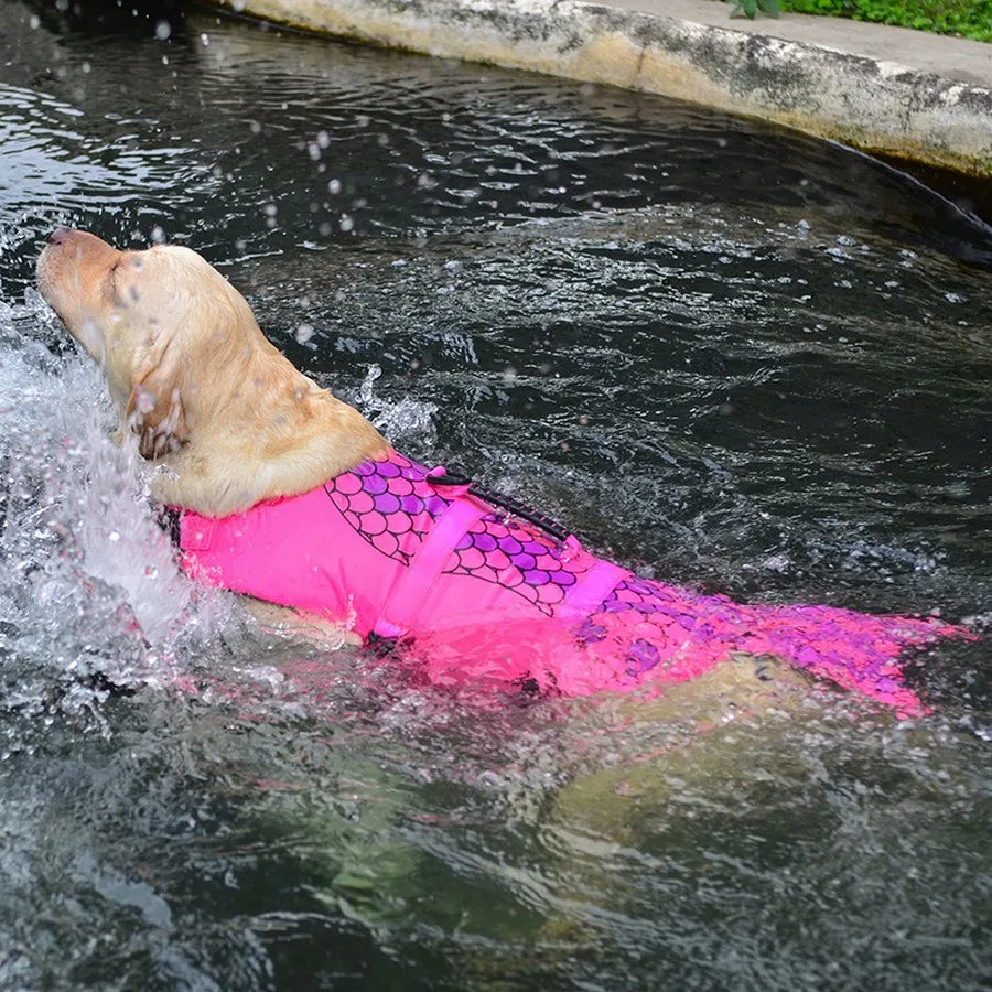 Gilet de Sauvetage pour chien - Requin/Sirène | OceanSafe™