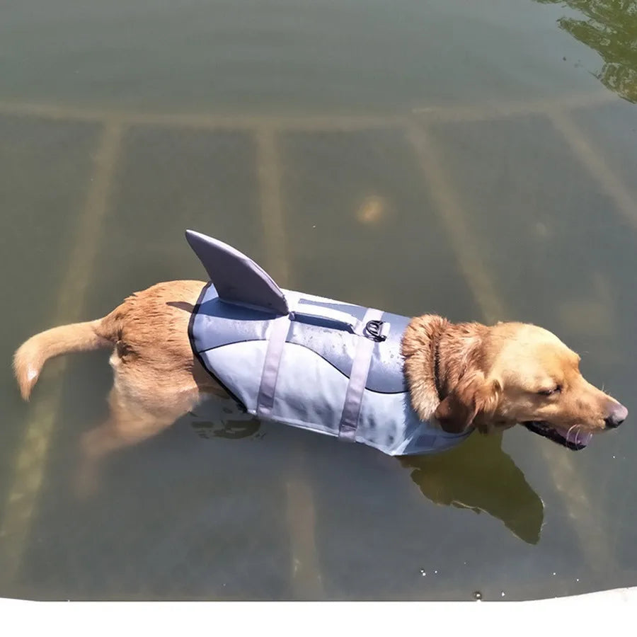 Gilet de Sauvetage pour chien - Requin/Sirène | OceanSafe™