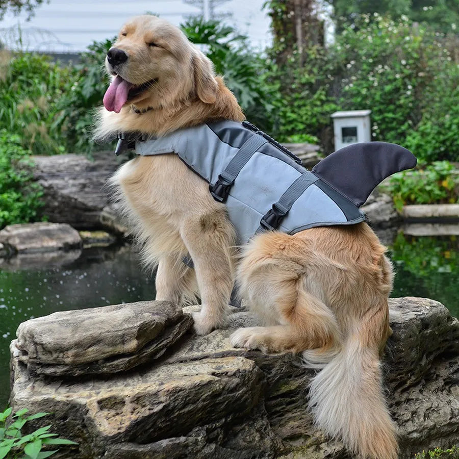 Gilet de Sauvetage pour chien - Requin/Sirène | OceanSafe™