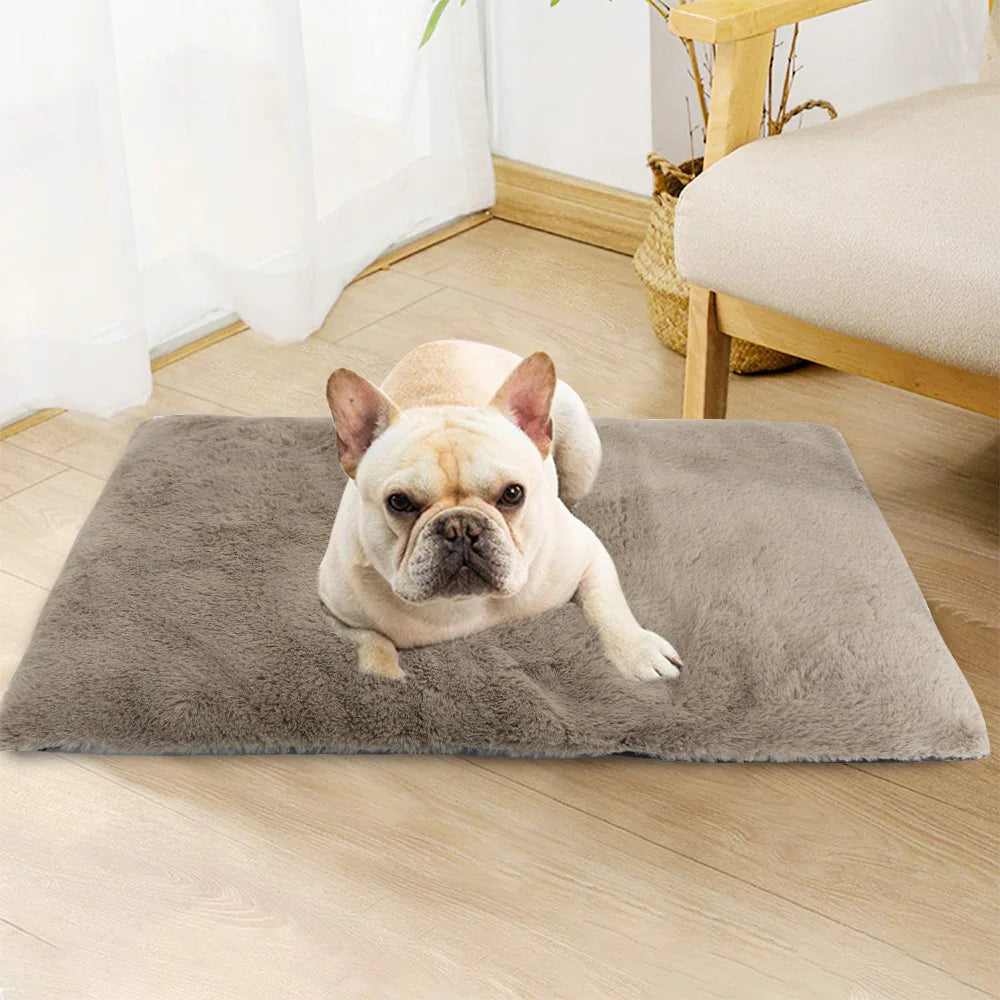 Tapis pour chien