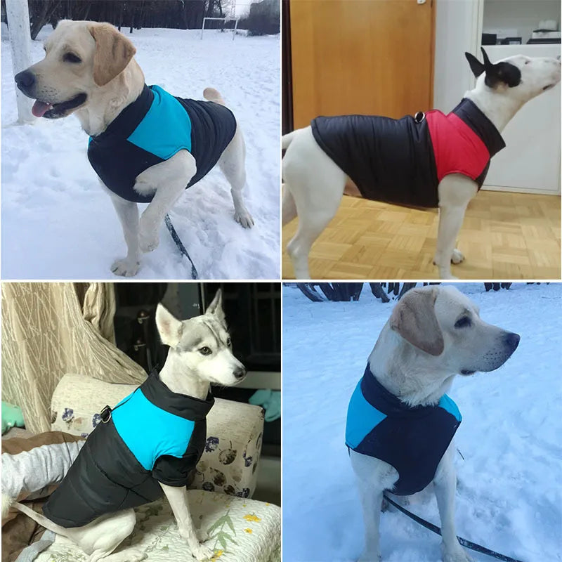 Impermeable pour chien | RainRover™