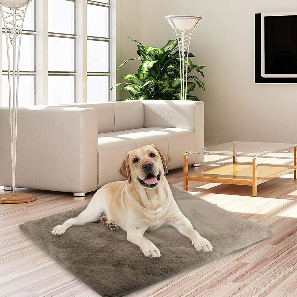 Tapis pour chien