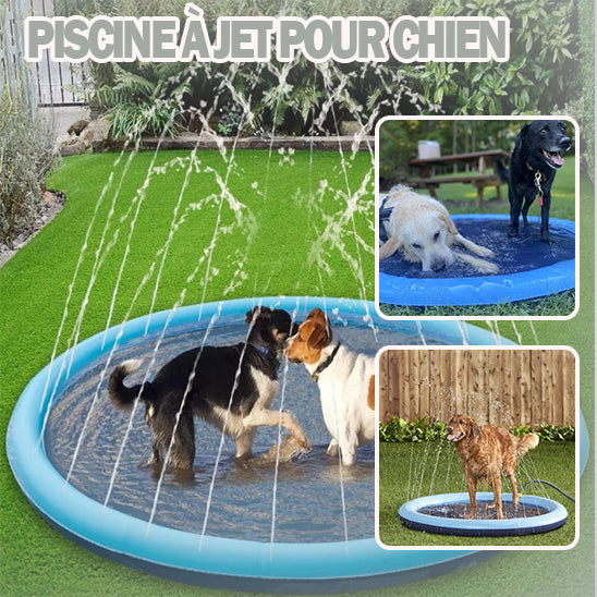 Piscine-jet-pour-chien