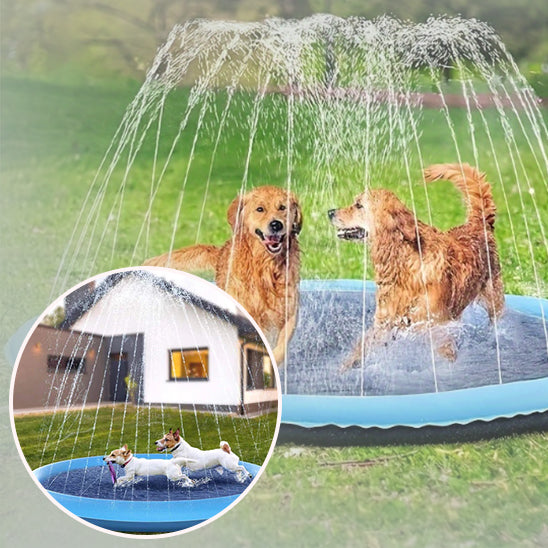 Piscine-pour-chien-jet