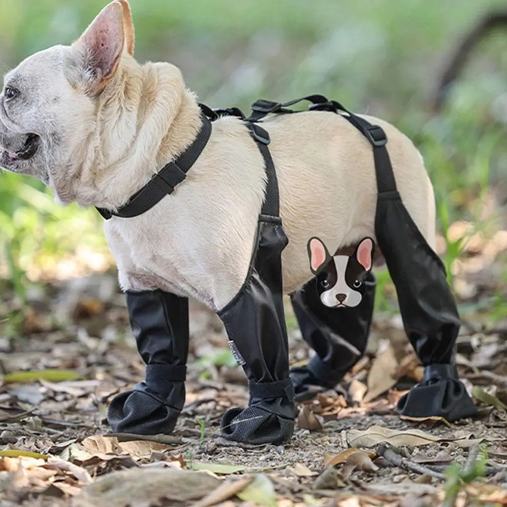 Bottes chien | PawProtect™