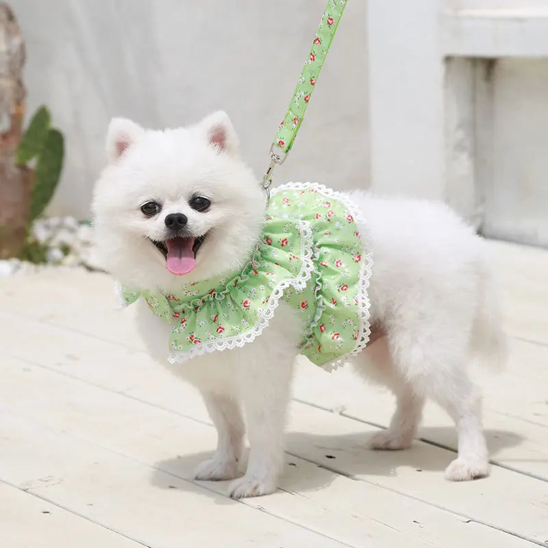 Harnais petit chien | ChicWalk™