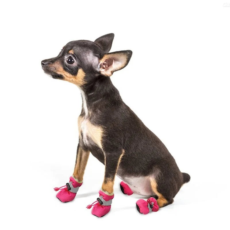 Chausson pour chien | PupSocks™