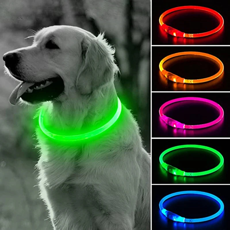 Collier lumineux chien | NightShine™