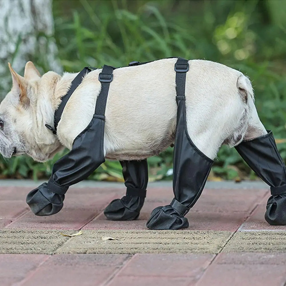 Bottes chien | PawProtect™