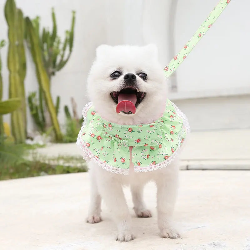 Harnais petit chien | ChicWalk™