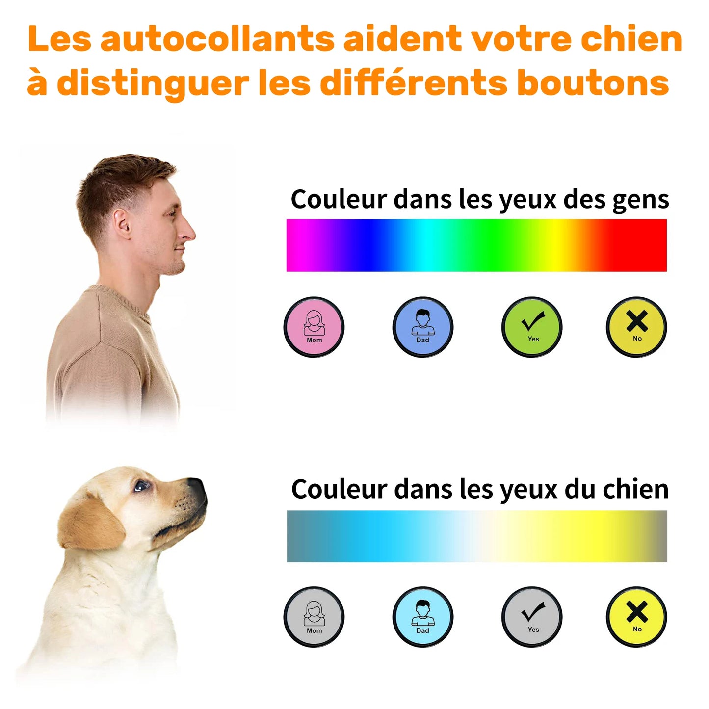 Buzzer chien