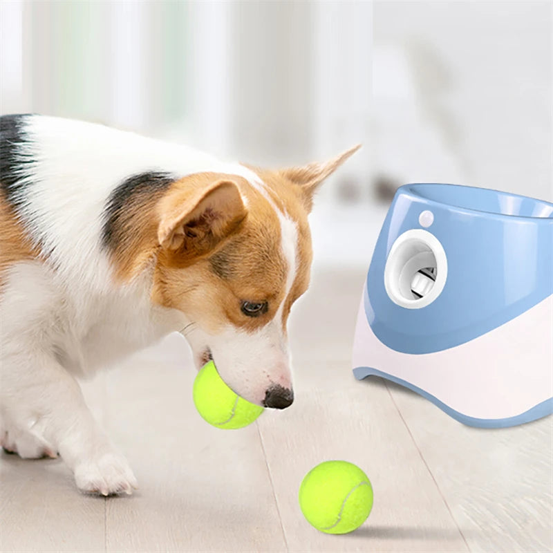 Lanceur de balle pour chien | BallOjet™