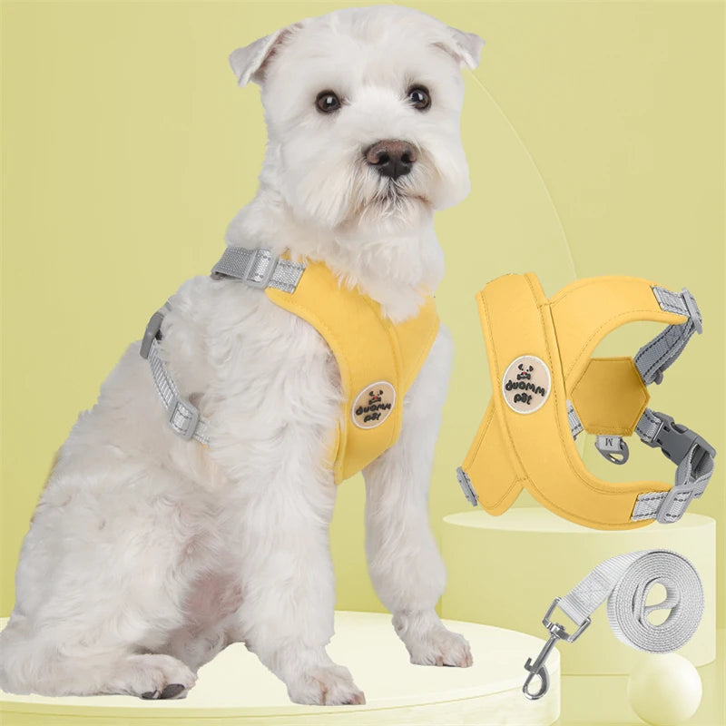 Harnais pour chien qui tire | EasyWalk™