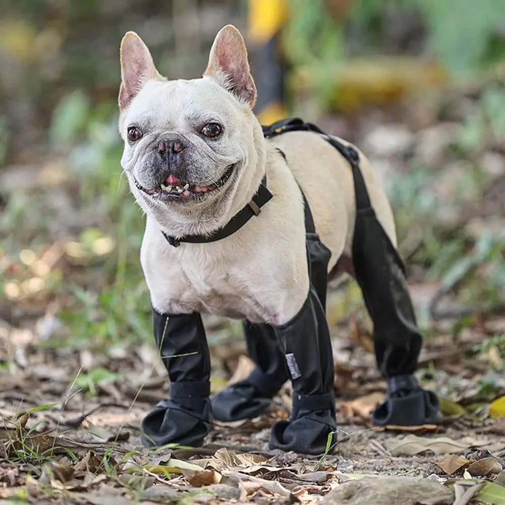 Bottes chien | PawProtect™