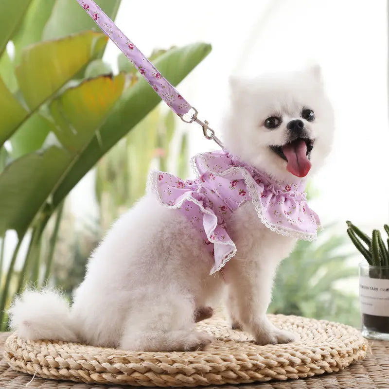 Harnais petit chien | ChicWalk™