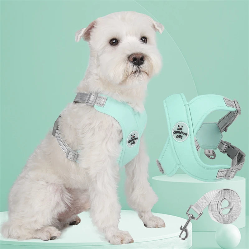 Harnais pour chien qui tire | EasyWalk™