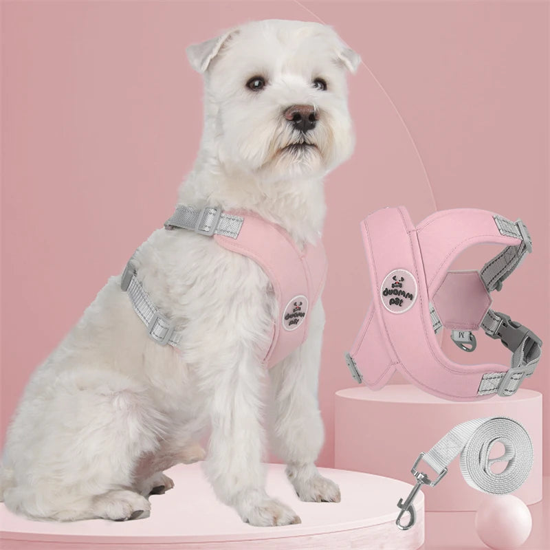 Harnais pour chien qui tire | EasyWalk™