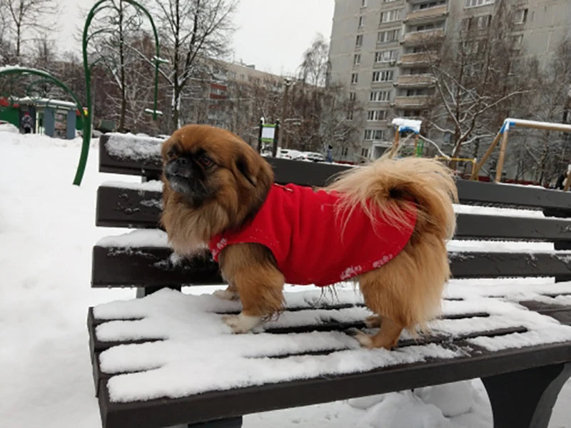 Manteau pour chien | CozyCanin™