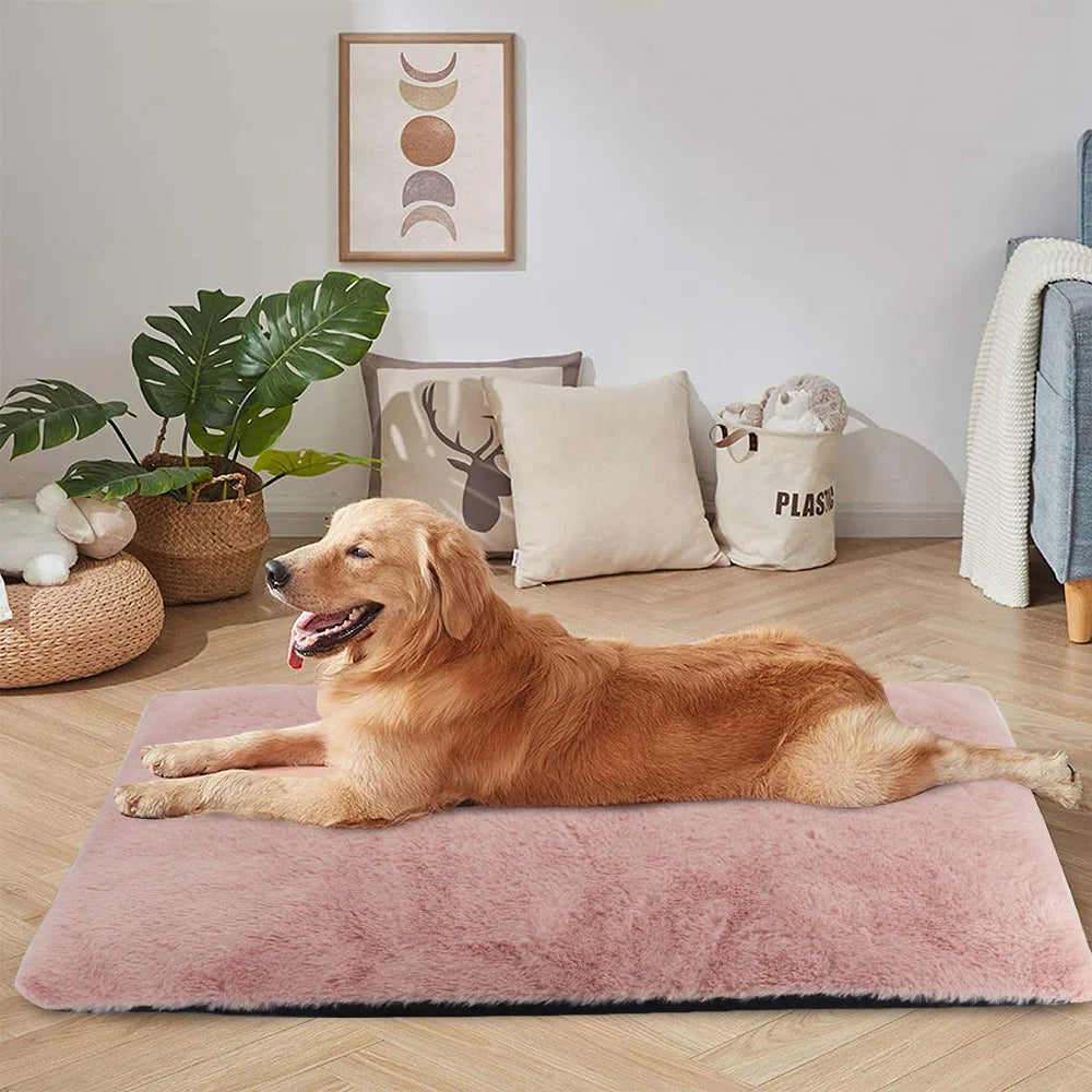 Tapis pour chien