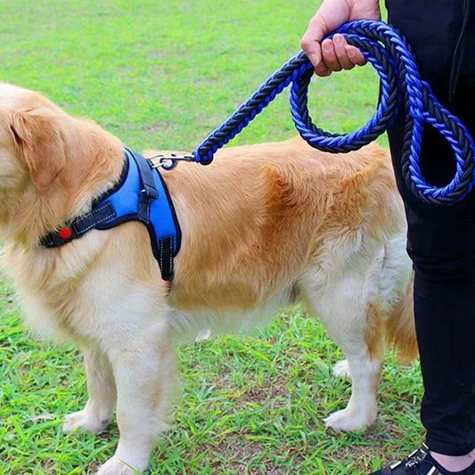 Laisse pour chien | RockCorde™