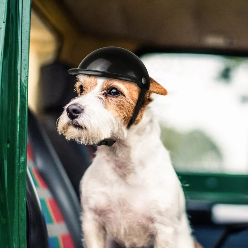 Casque moto pour chien | WoofHelmet™