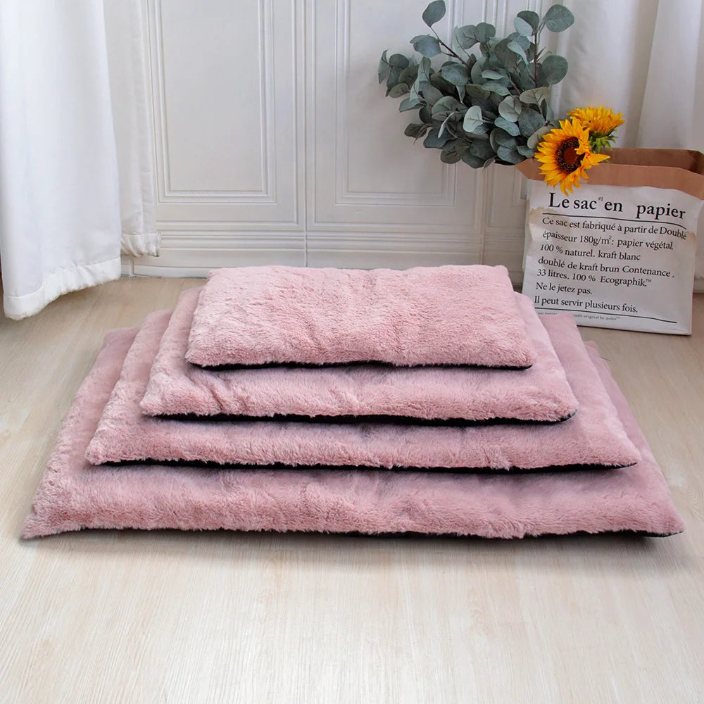 Tapis pour chien