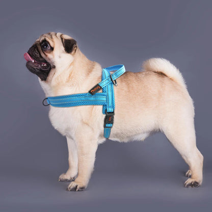 Harnais chien | ErgoCanin™